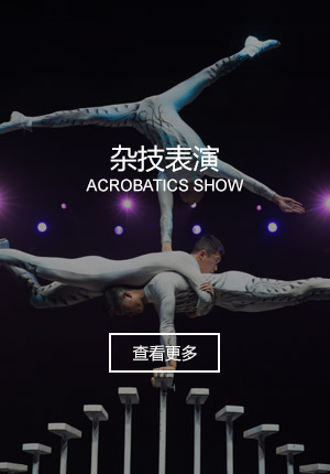 杂技表演