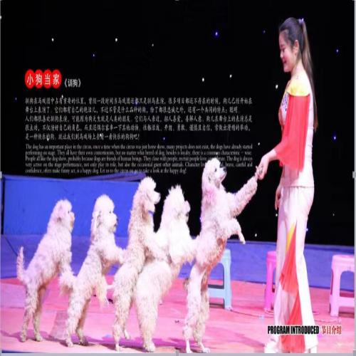 企业画册