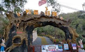 广东汕尾铜鼎山松鼠乐园